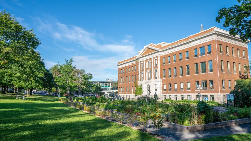 Plan Du Cégep Guide De Session