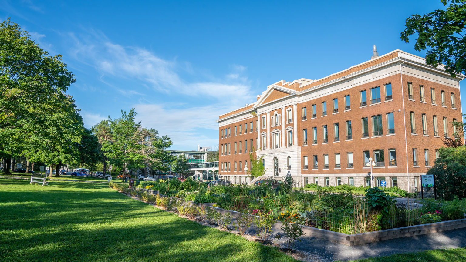 Plan Du Cégep Guide De Session